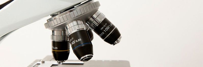 Eine KI soll Fachleute dabei unterstützen, mikroskopische Aufnahmen zu analysieren.(Bild:  gemeinfrei /  Pixabay)