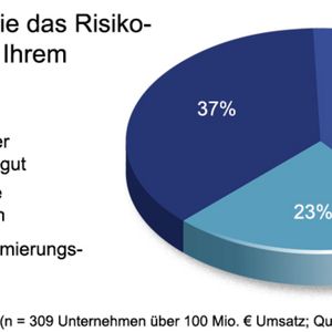 Bewertung des Risikomanagements