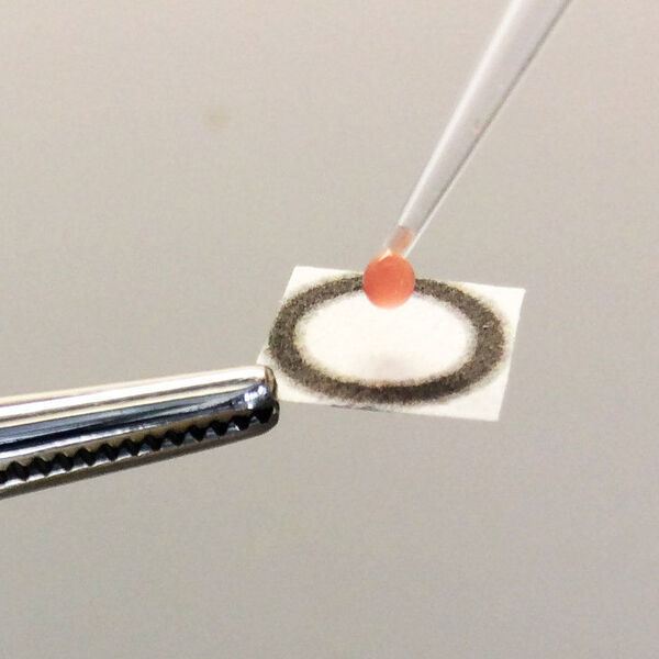Ein Gemisch aus Blut des Patienten und Reaktionspuffer wird auf ein Papier gegeben, auf dem der Biosensor aufgetragen wurde. Die anschließende Reaktion wird über eine Kamera aufgenommen und ausgewertet.  (MPI für medizinische Forschung)