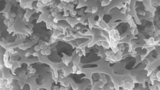 In der porösen Trägerstruktur der Membranadsorber sind winzige Polymerpartikel eingebettet, die Schadstoffe aus dem Wasser binden. (Bild: Fraunhofer IGB)