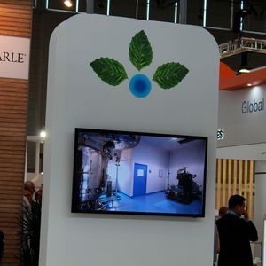 (Geipel-Kern/PROCESS)