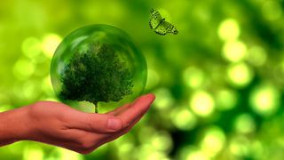 Kunden setzen Ökowunsch in Kaufentscheidungen um.  (gemeinfre: Gerd Altmann auf Pixabay)