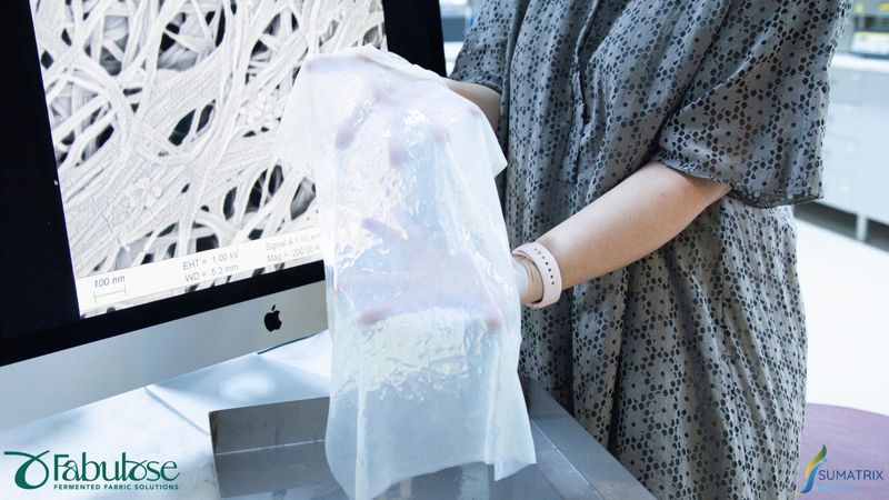 Von Sumatrix hergestellte bakterielle Zellulosefolie(Bild:  Sumatrix)