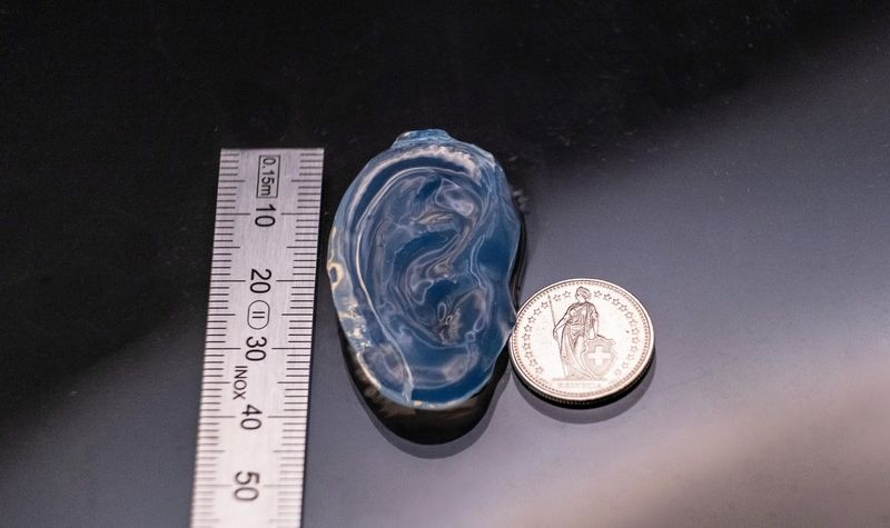 Modell eines menschlichen Ohrs, gedruckt aus einem Gelatine-basierten Harz. (Bild: LAPD EPFL)