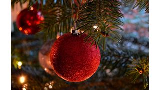 Ungefähr 23 bis 25 Millionen Weihnachtsbäume stehen jedes Jahr in deutschen Wohnzimmern.  (Bild: frei lizenziert)