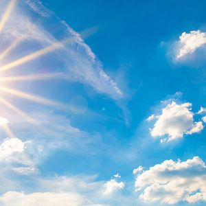 (Guenter Albers - stock.adobe.com)