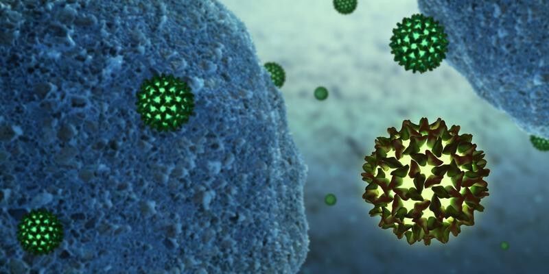 Abb. 2:. Größenvergleich von Hepatitis-B-Viren (grün dargestellt) und menschlichen Lymphozyten (Bild: somersault18:24)