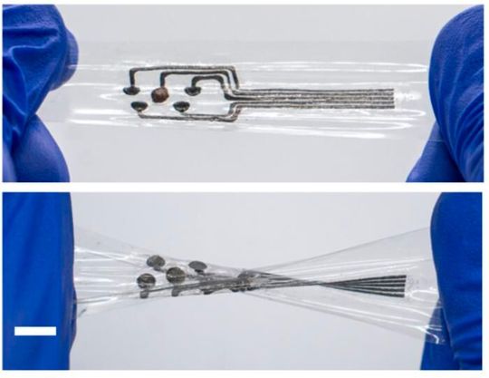 Wei Gao and a team at Caltech have developed a bioelectronic material called a stretchable interface for resilient electrochemical sensing (Sires), meeting a key need for the next generation of wearable and implantable sensors. The photographs show Sires-based bioelectronics under stretching (top) and twisting (bottom). Scale bar is 1 cm.(Source:  Wei Gao Lab/ Caltech)