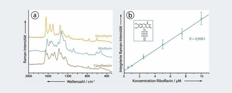 4	 Verwendung von EGNP für a) den qualitativen Nachweis drei verschiedener Moleküle anhand ihres spezifischen Spektrums, b) den quantitativen Nachweis des Moleküls Riboflavin mittels SERS. (Archiv: Vogel Business Media)