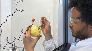 Dawit T. Filmon, Mitarbeiter von Prof. Nicolas Plumere, Professur für Elektrobiotechnologie am TUM Campus Straubing für Biotechnologie und Nachhaltigkeit, hält einen Ausgangsstoff für die Seitenketten des schützenden Polymers in seinen Händen. (Jan Winter / TUM)