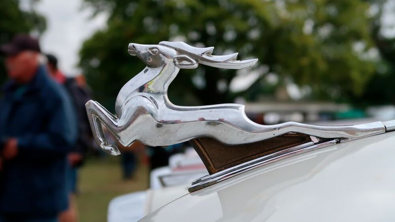 Der Hirsch gehört zur Motorhaube eines GAZ M-21 Wolga, wie er von 1959 bis 1962 gebaut wurde. (Bild: Diehl)