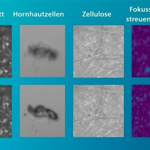 Die Mikrospiegeltechnologie des Fraunhofer IPMS ermöglicht schärfere Mikroskopbilder von biologischem Gewebe. Die Mikrospiegel lassen sich so einstellen, dass sie Licht mit hohem Kontrast durch streuende Materialien fokussieren. Dadurch können Strukturen in tieferen Gewebeschichten mit höherer Auflösung analysiert werden.(Bild:  Sascha Thor,BTU)