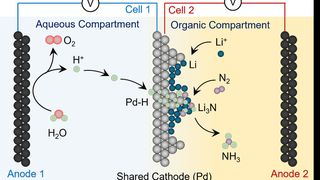 Reaktorschema, - bei dem Wasser direkt als Wasserstoffquelle genutzt wird, um mit Hilfe von elektrischem Strom Ammoniak zu erzeugen. (Bild: Nikolay Kornienko)