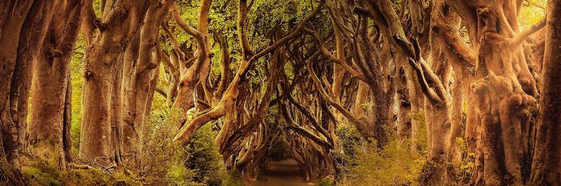 Wo API-Management und Security zusammenwachsen, bieten sie belastbaren Schutz für Anwendungen. (Bild:  Darkmoon_Art auf Pixabay)