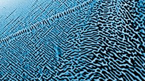 Scanning electron microscope image of the nanostructure of an alloy composed of aluminum, molybdenum, niobium, tantalum, titanium, and zirconium. The material is particularly well-suited for catalytic processes. (Image:BAM)