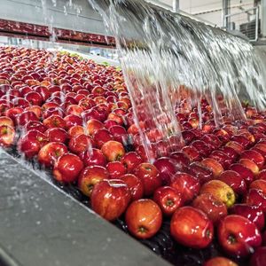 Data is also generated when washing fruit, which Conditorei Coppenrath & Wiese can use with the help of Resma.(Image: Timo Lutz Advertising Photography)