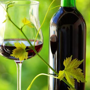 Schwefeldioxid verleiht Lebensmitteln wie Wein längere Haltbarkeit, kann aber unerwünschte Effekte hervorrufen, besonderes bei Allergikern. Mit der Neuentwicklung aus dem EU-finanzierten Projekt „SO2SAY“ könnte das schon bald der Vergangenheit angehören.