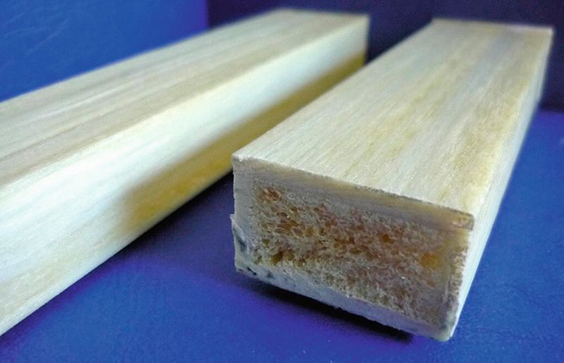 Einstufig zum Profil	 Am IKV pultrudierte Rechteckprofile von 35 mm × 20 mm mit faserverstärkten Deckschichten und Schaumkern. Sonst übliche Konfektionierungs- oder Veredelungsschritte können entfallen. (Bild: IKV)