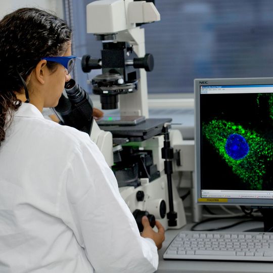 Im vergangenen Jahr wurden dank 49 neuer Medikamente und zahlreicher Zulassungserweiterungen neue Behandlungsmöglichkeiten geschaffen.(Bild:  Martin Joppen/ VFA)