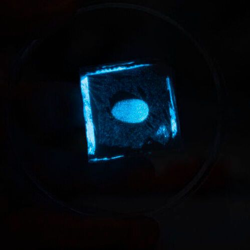 The eluminator, lights up in response to pressure from the fingertip, allowing the shape and distribution of contact to be visualized in real time.(Source:  NUS)