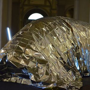 (VBM / Sergio Caré)