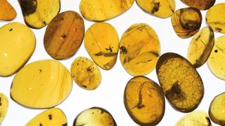 Abb. 1: Bernstein – auch Amber oder Succinit genannt – war ursprünglich ein Baumharz. (Bild: Fotolia_29043989_© marcel - Fotolia.com)