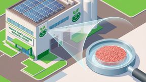 Vision einer nachhaltigen Lebensmittelproduktion: Magdeburger Forscher arbeiten an der Hochskalierung der zellbasierten Fleischproduktion. (Bild: Gemini 3.1 Flash Image / KI-generiert)