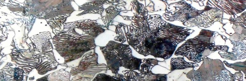 Blick auf das Schliffbild eines Stahlgussgefüges. Forscher des Fraunhofer-Instituts LBF untersuchen nun unter der Leitung der RWTH Aachen, wie der digitale Zwilling dazu genutzt werden kann, ultraleichte Produkte aus Gusseisen mit Kugelgraphit (GJS) zu entwickeln.(Bild:  RWTH Aachen)