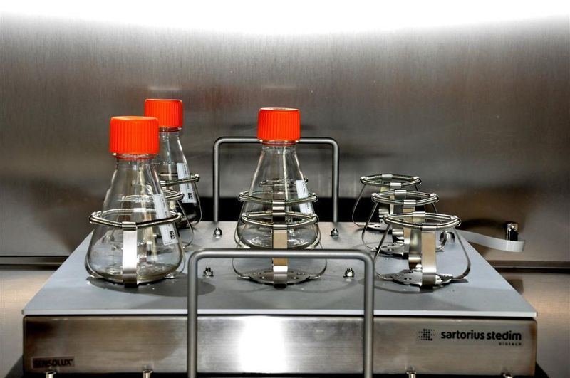 Das Seonsolux stand-alone von Sartorius Stedim Biotech ist ein intelligentes Schütteltablar für die nicht-invasive Bestimmung von pH und pO2 in Schüttelkolben. (Archiv: Vogel Business Media)