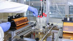 Im 1-Liter-Reaktor können in einem Ansatz 100 Gramm modifizierte Gelatine reproduzierbar und mit absolut konsistenter Qualität hergestellt werden. (Bild: Fraunhofer IGB)