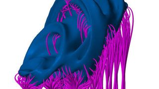 Drei Arten von Stützstrukturen sind je nach Geometrie des Modells wählbar: Bar Support, Polyline Support und Full Volume Support. (Bild: Netfabb)