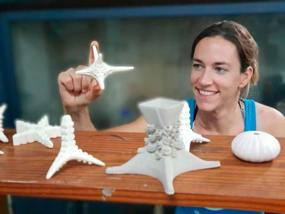 Die bionisch inspirierte Gestalt soll einen perfekten Lebensraum für Korallenlarven bieten. (Secore International)