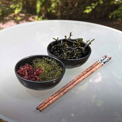 Die Rotalge Botryocladia pseudodichotoma hat einen hohen Gehalt an Magnesium und Kalium, die Grünalge Caulerpa lentillifera weist stark antioxidative Eigenschaften auf (beide links im Bild). Die Grünalge Codium taylorii (hinten rechts im Bild) hat ebenfalls stark antioxidative Eigenschaften und ist zusätzlich im Vergleich zu den anderen untersuchten Algen reich an Proteinen. (Bild: Beatrice Brix da Costa)