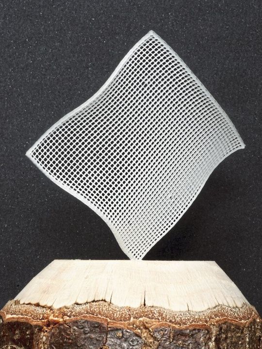 Filigranes Gitter. Filigranes Gitter.