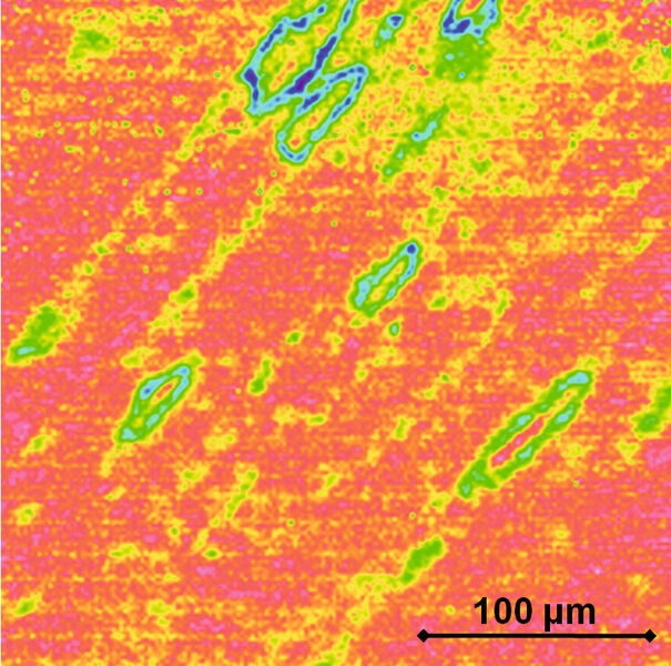 Abb. 3: Mit dem neuen IR-Mikroskop gelang es den Currenta-Analytikern, störende Verschmutzungen in Gestalt von Kleberresten (grün-blaue Ellipsen) auf der Kunststofffolie nachzuweisen. (Bild: Currenta)