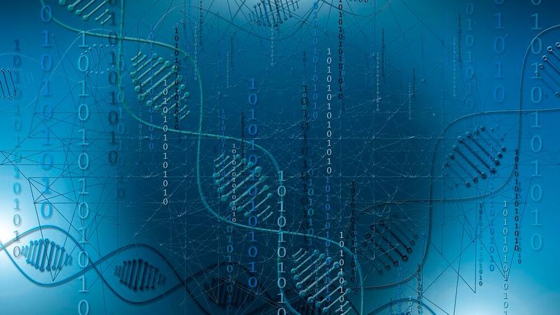 Using large-scale computational modeling of digital organisms across more than 100 dynamically changing fitness landscapes, researchers show how evolutionary outcomes depend strongly on environmental history.(Source:  free licensed /  Pixabay)