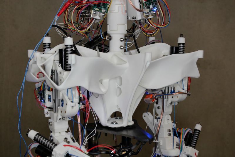 „Sparen wir in der Hand ein paar Gramm Gewicht, reduzieren sich die Kräfte, die die Hüfte aushalten muss und wir können sie dementsprechend leichter machen“, erklärt Rafael Hostettler, Leiter des Roboy-Projekts. (Autodesk)