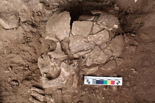 The CPL-2a skeleton in the trench (Source:  Fakhri)