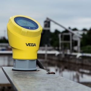 Der Vegapuls 31 trotzt Sonne, Nebel, Wind und Regen.(Bild:  Vega)