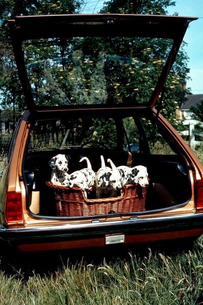 Große Klappe, viel dahinter: Der Ford Fiesta zählte in den 70ern zu den variabelsten und geräumigsten kleinen Dreitürern. Er wurde ab dem 11. Mai 1976 als Fünfsitzer oder als Kleinlieferwagen gebaut. Die verschiedenen Varianten waren mit 1,0-, 1,1-, 1,3- und 1,6-Liter-Ottomotoren und Vierganggetriebe erhältlich. Die angetriebenen Vorderräder des Fiesta waren einzeln an MacPherson-Federbeinen und Querlenkern aufgehängt, die starre Hinterachse führten zwei Längslenker, ein Panhardstab und die Stoßdämpfer, die das Bremsreaktionsmoment aufnahmen.  (Bild: Ford AG)