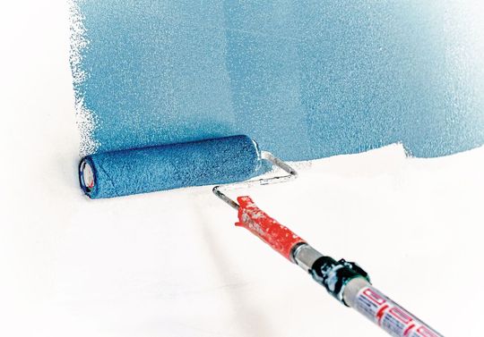Wenn Mikropartikel aus Wandfarben ins Wasser gelangen, können sie dort Organismen schädigen. Wenn Mikropartikel aus Wandfarben ins Wasser gelangen, können sie dort Organismen schädigen.