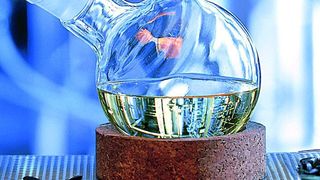 Basis-Rohstoff der High-Oleic-Produkte ist Sonnenblumenöl. Im Vergleich zu Rapsöl bewirkt es eine deutlich bessere Alterungsbeständigkeit. Bild: Natoil (Archiv: Vogel Business Media)