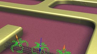 „Selbstorganisiert“ zum Nano-Schalter: Magnetische Moleküle (grün) ordnen sich auf einer Kohlenstoffnanoröhre (schwarz) an, um ein elektronisches Bauteil zu bauen.  (Bild: C. Gruppe, KIT)