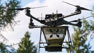 Skyseeds pelletiert Saatgut und verteilt dies mit Drohnen über die betreffende Arealen. So wird die natürliche Arbeit von Bäumen, nämlich das Saatgut auszuwerfen, mit moderner Technologie zusammengeführt und unterstützt.  (Bild: Saskia Uppenkamp)