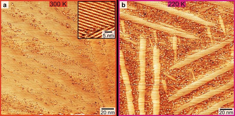 Aufnahmen mit dem Rastertunnelmikroskop zeigen, wie Molybdänacetat-Moleküle mobil werden: Bei 300 Kelvin (etwa 27 °C, links) sind die Moleküle geordnet, die Vergrößerung (kleiner Kasten) macht die Kettenstruktur sichtbar. Bei 220 Kelvin (etwa -53 °C, rechts) löst sich die Kettenstruktur teilweise auf und auf der Aufnahme sind ungeordnete, flockige Bereiche erkennbar.