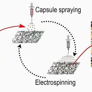 (Lukas Weidenbacher)