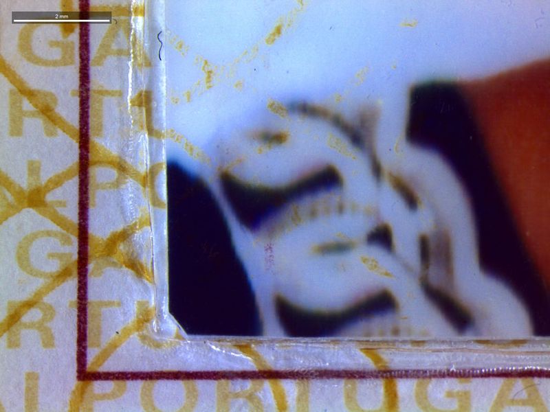 Abb. 7a: Links und unterhalb des Lichtbildes ist eine manuell angebrachte Schnittkante erkennbar. Hier wurde die authentische Sicherungsfolie aufgeschnitten und das ursprüngliche Lichtbild entfernt. Der Fälscher hat dann ein anderes Bild innerhalb dieser Schnittkanten eingesetzt und alles zusammen mit einer Folie überlaminiert....  (Bild: Martin Fischer)