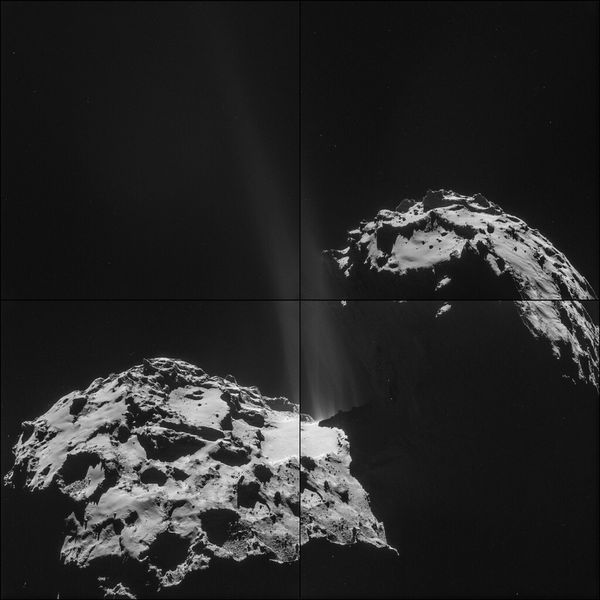 Montage aus vier Einzelaufnahmen, die die Navigationskameraan Bord der Raumsonde Rosetta am 26. September 2014 vom Kometen 67P/Churyumov-Gerasimenko gemacht hat. Sie entstanden aus 26,3 km Entfernung zum Kometen. Der Kometenkern hat einen Durchmesser von etwa vier Kilometern. Auf diesem Bild ist die bereits die aktive Zone in der Halsregion des Kometen zu erkennen. Nähert sich der Komet der Sonne, tauen die gefrorenen Bestandteile allmählich auf und strömen ins Weltall. Dabei reißen sie Staubpartikel von der Oberfläche mit. (Bild: ESA)
