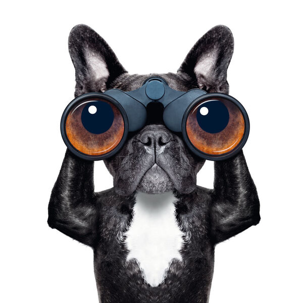 Vernetzte Sicherheit schafft Forscout unter dem Motto „See, Control, Orchestrate“. (© javier brosch - Fotolia)