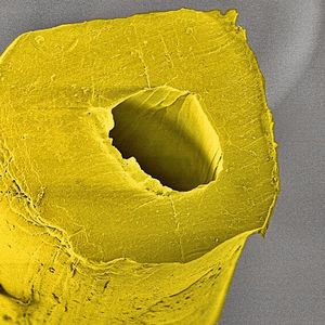 Kern-Mantelfasern werden im Schmelzspinnverfahren aus zwei Komponenten hergestellt. Im Bild eine textile Polymerfaser mit zentralem Kanal (Rasterelektronenmikroskopie-Aufnahme, 1200-fach vergrössert, nachkoloriert).(Bild:  Empa)